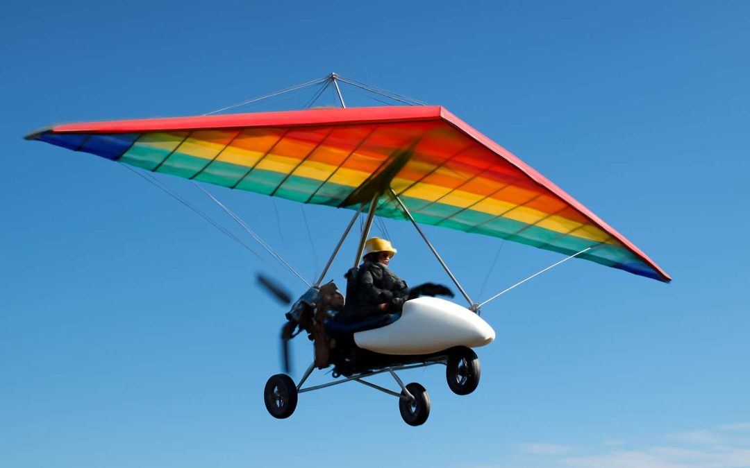 microlight flying wings